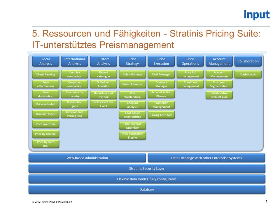 5. Ressourcen und Fähigkeiten - Stratinis Pricing Suite: IT-unterstütztes Preismanagement