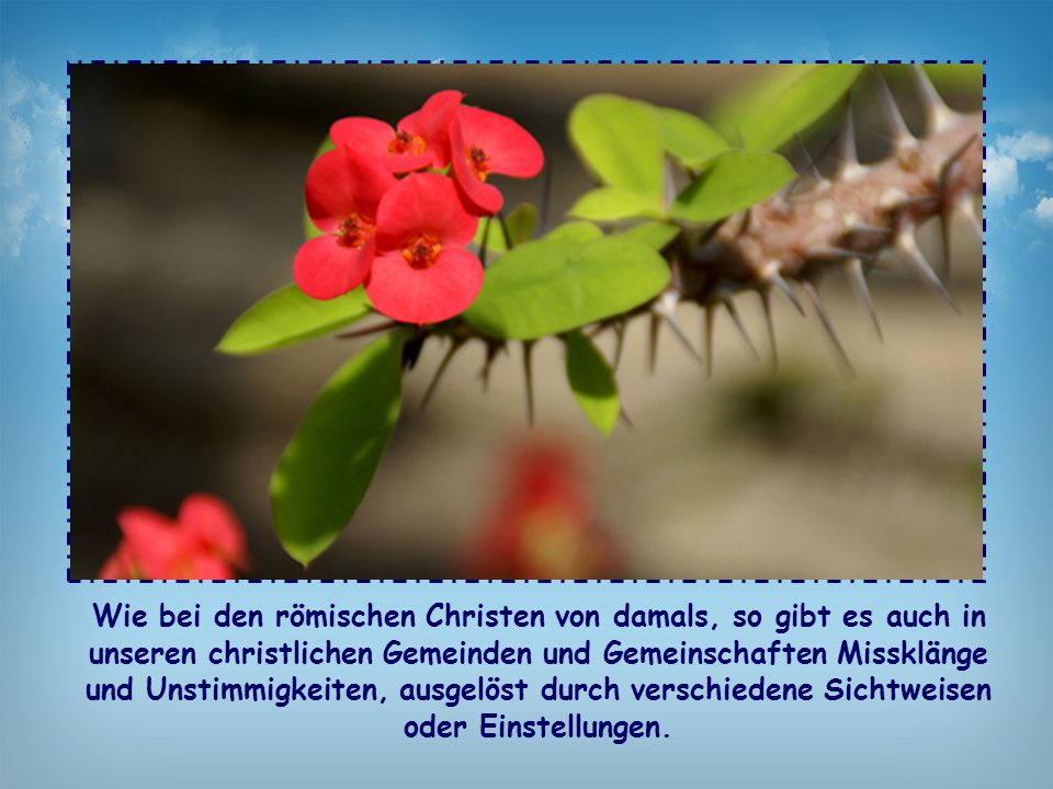 Wie bei den römischen Christen von damals, so gibt es auch in unseren christlichen Gemeinden und Gemeinschaften Missklänge und Unstimmigkeiten, ausgelöst durch verschiedene Sichtweisen oder Einstellungen.