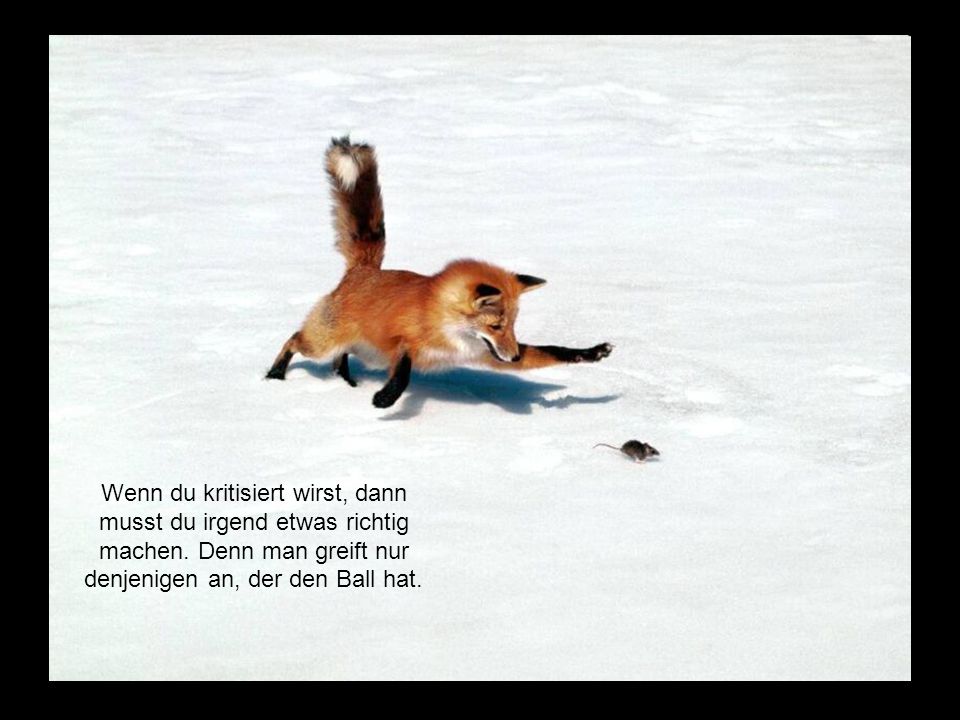 Wenn du kritisiert wirst, dann musst du irgend etwas richtig machen