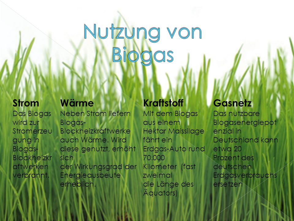 Nutzung von Biogas Strom Wärme Kraftstoff Gasnetz Das Biogas wird zur
