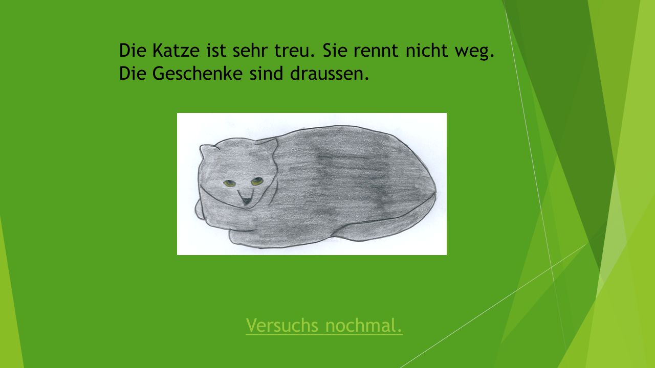 Die Katze ist sehr treu. Sie rennt nicht weg.