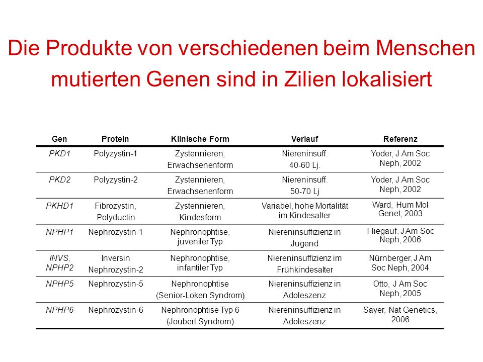 Die Produkte von verschiedenen beim Menschen mutierten Genen sind in Zilien lokalisiert
