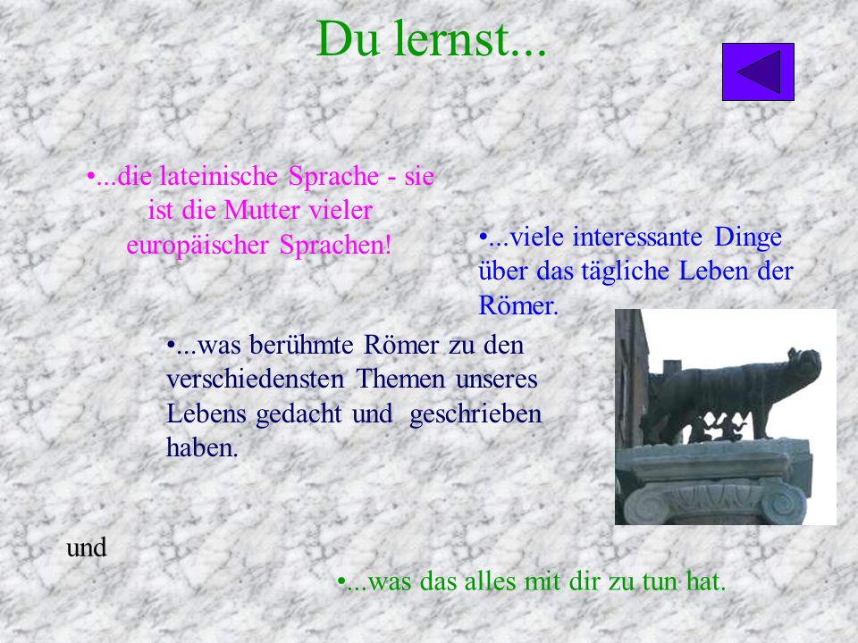Du lernst die lateinische Sprache - sie ist die Mutter vieler europäischer Sprachen!
