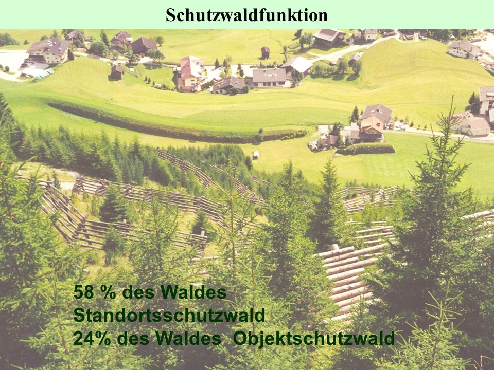 Schutzwaldfunktion 58 % des Waldes Standortsschutzwald 24% des Waldes Objektschutzwald