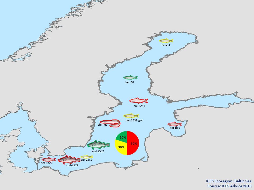 ICES Ecoregion: Baltic Sea Source: ICES Advice 2013