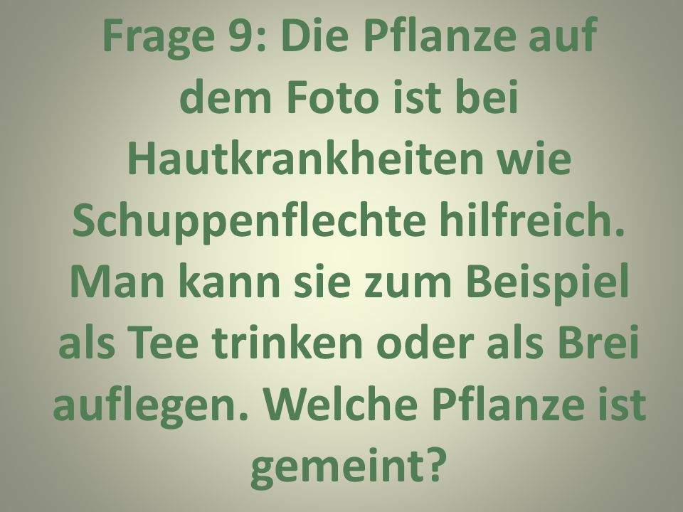 Frage 9: Die Pflanze auf dem Foto ist bei Hautkrankheiten wie Schuppenflechte hilfreich.