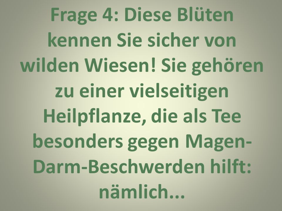 Frage 4: Diese Blüten kennen Sie sicher von wilden Wiesen