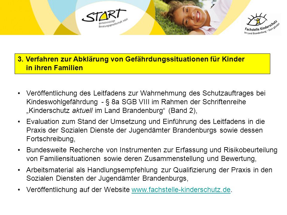 3. Verfahren zur Abklärung von Gefährdungssituationen für Kinder in ihren Familien