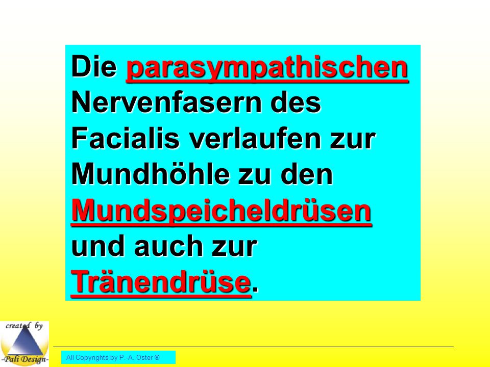 Die parasympathischen Nervenfasern des Facialis verlaufen zur Mundhöhle zu den Mundspeicheldrüsen und auch zur Tränendrüse.