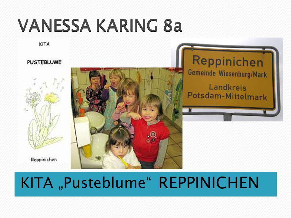 VANESSA KARING 8a KITA „Pusteblume REPPINICHEN