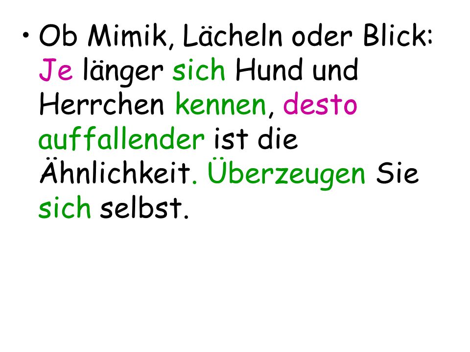 Ob Mimik, Lächeln oder Blick: Je länger sich Hund und Herrchen kennen, desto auffallender ist die Ähnlichkeit.
