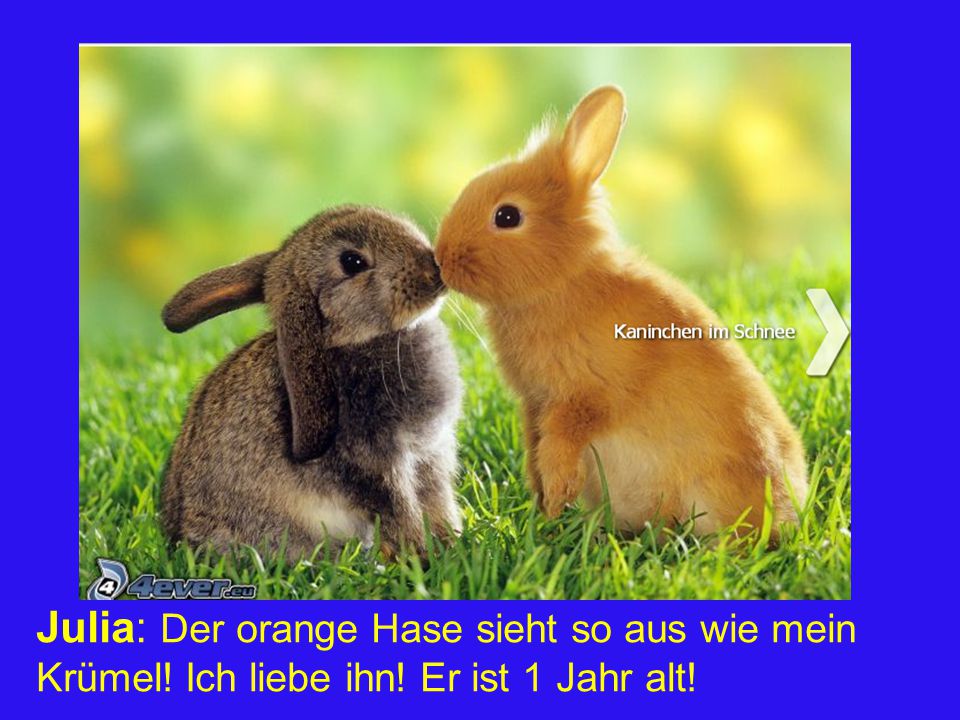 Julia: Der orange Hase sieht so aus wie mein Krümel. Ich liebe ihn