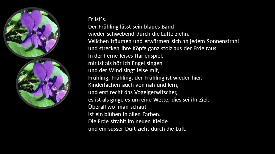 Er ist´s. Der Frühling lässt sein blaues Band. wieder schwebend durch die Lüfte ziehn. Veilchen träumen und erwärmen sich an jedem Sonnenstrahl.