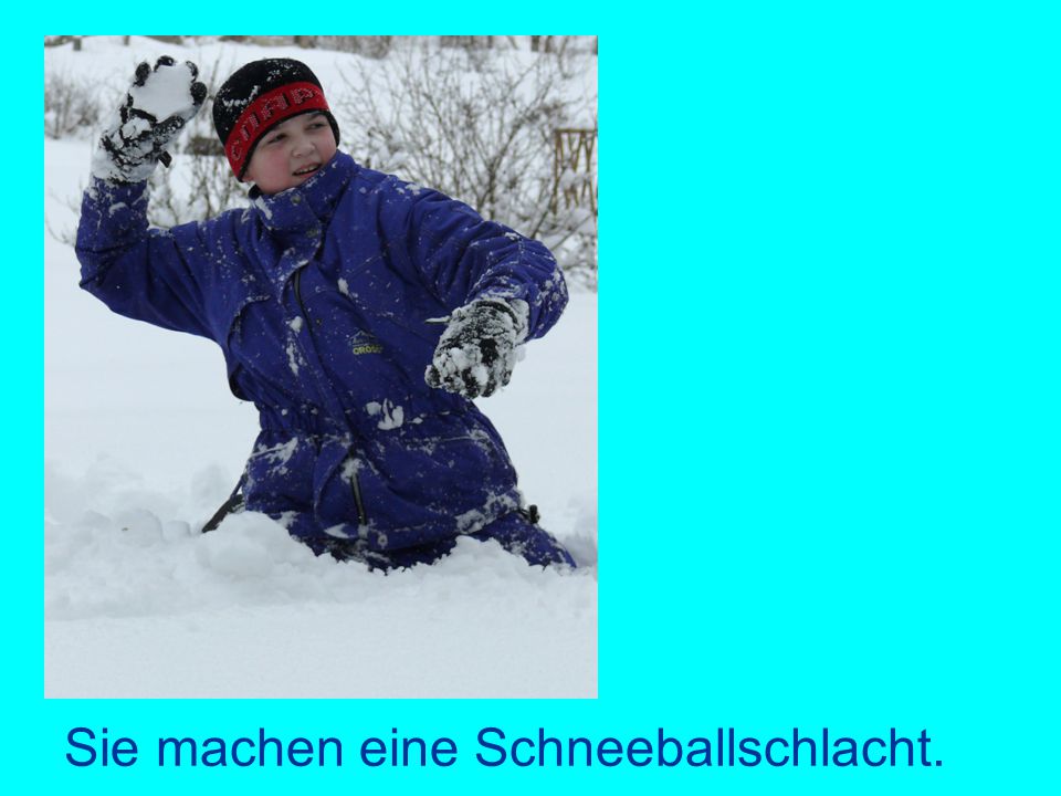 Sie machen eine Schneeballschlacht.