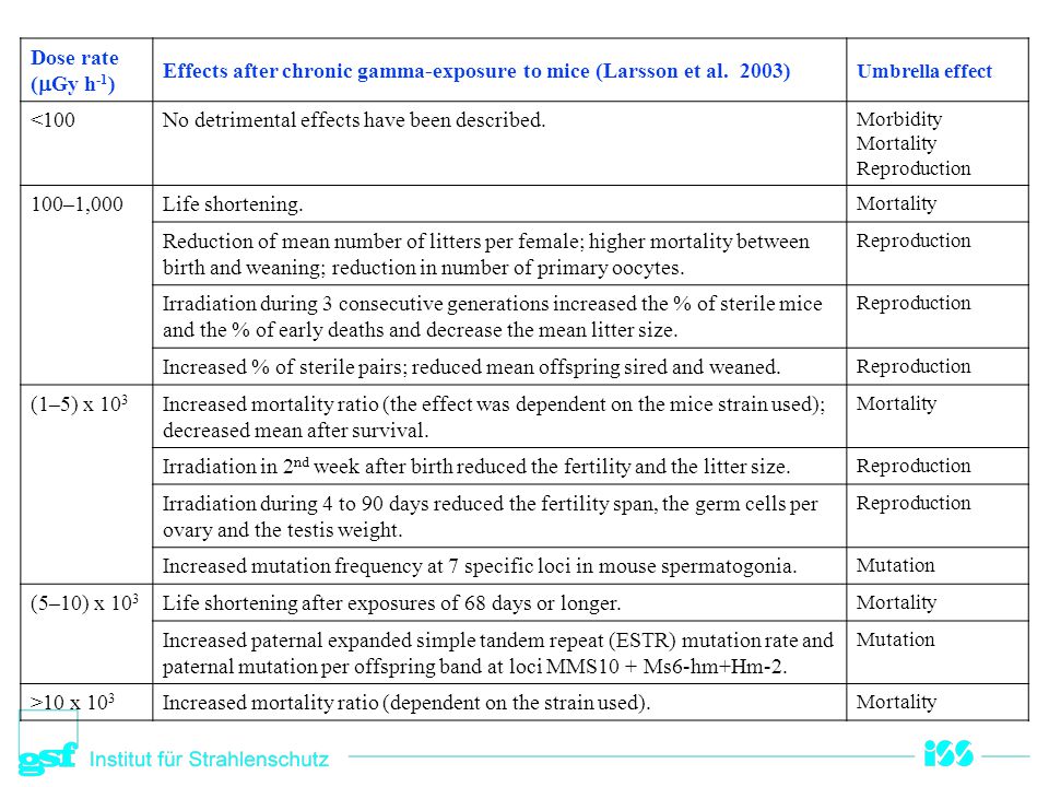 Effects after chronic gamma-exposure to mice (Larsson et al. 2003)