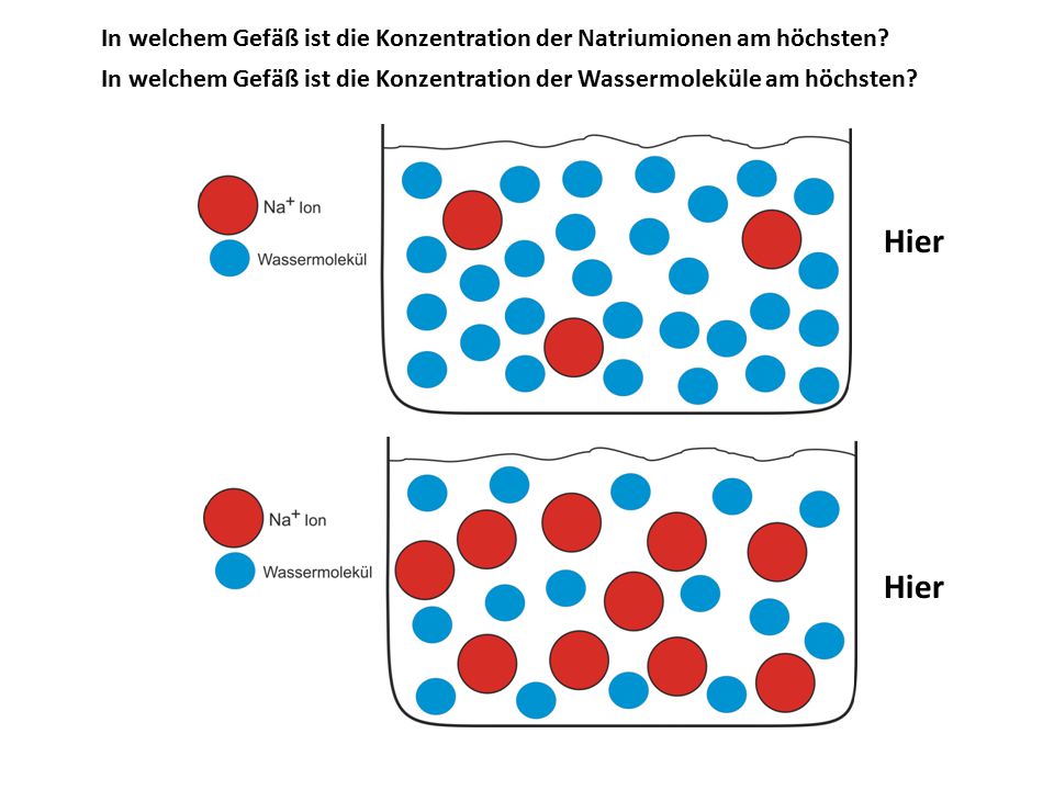 In welchem Gefäß ist die Konzentration der Natriumionen am höchsten