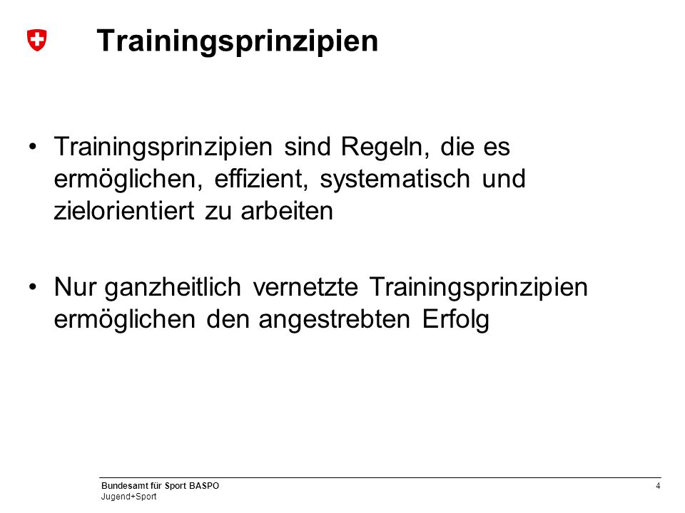 Trainingsprinzipien Trainingsprinzipien sind Regeln, die es ermöglichen, effizient, systematisch und zielorientiert zu arbeiten.