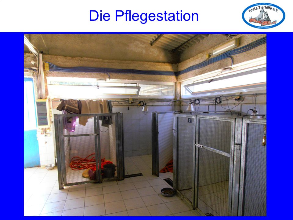 Die Pflegestation Die Pflegestation