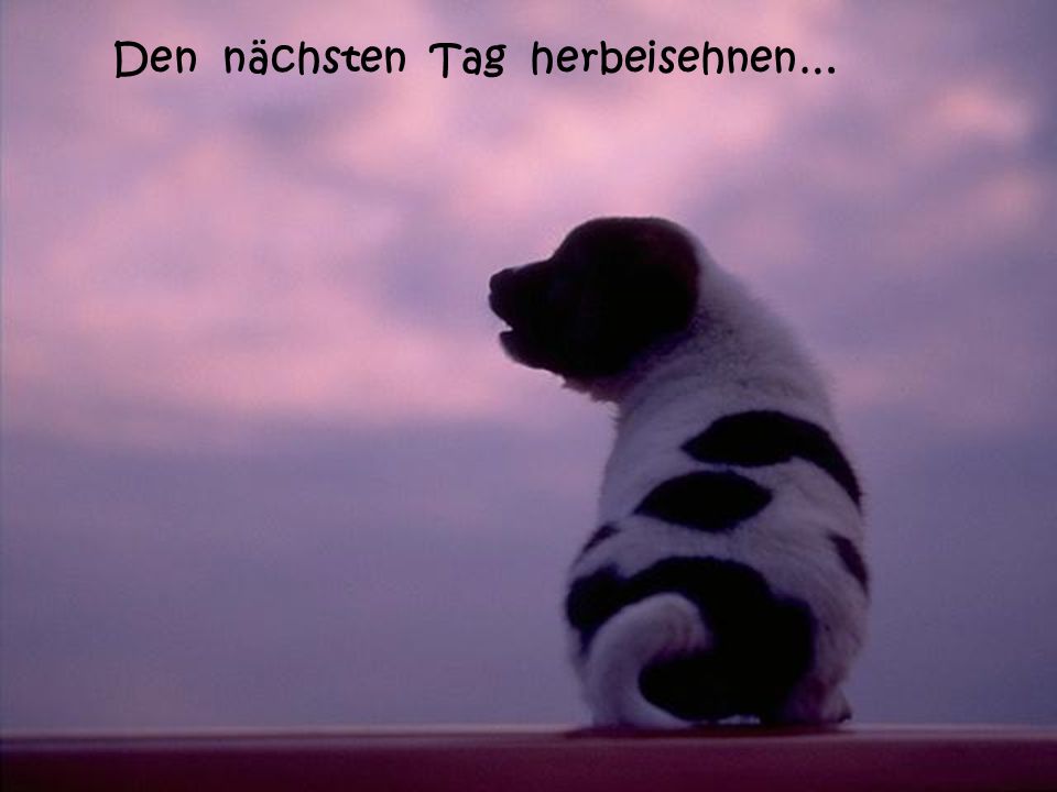 Den nächsten Tag herbeisehnen…