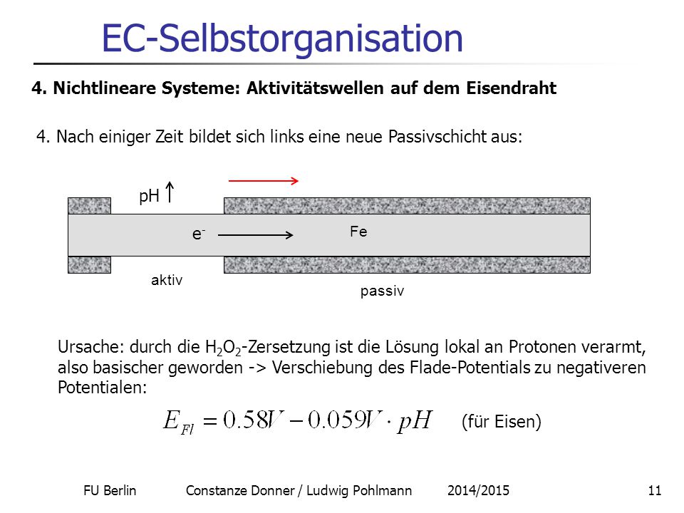 EC-Selbstorganisation