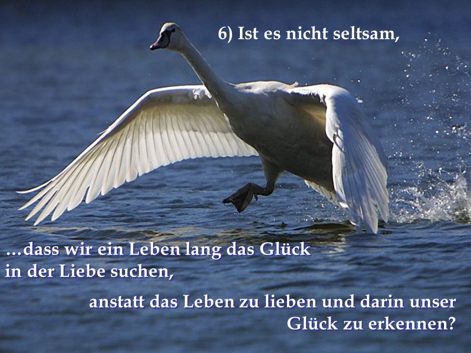 6) Ist es nicht seltsam, …dass wir ein Leben lang das Glück.