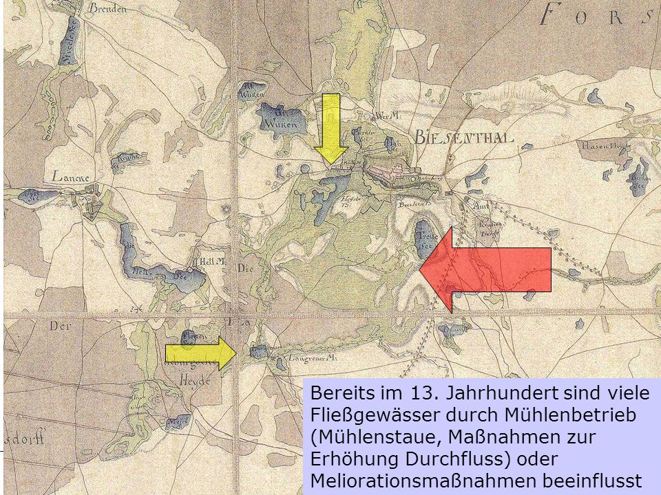 Bereits im 13. Jahrhundert sind viele Fließgewässer durch Mühlenbetrieb (Mühlenstaue, Maßnahmen zur Erhöhung Durchfluss) oder Meliorationsmaßnahmen beeinflusst