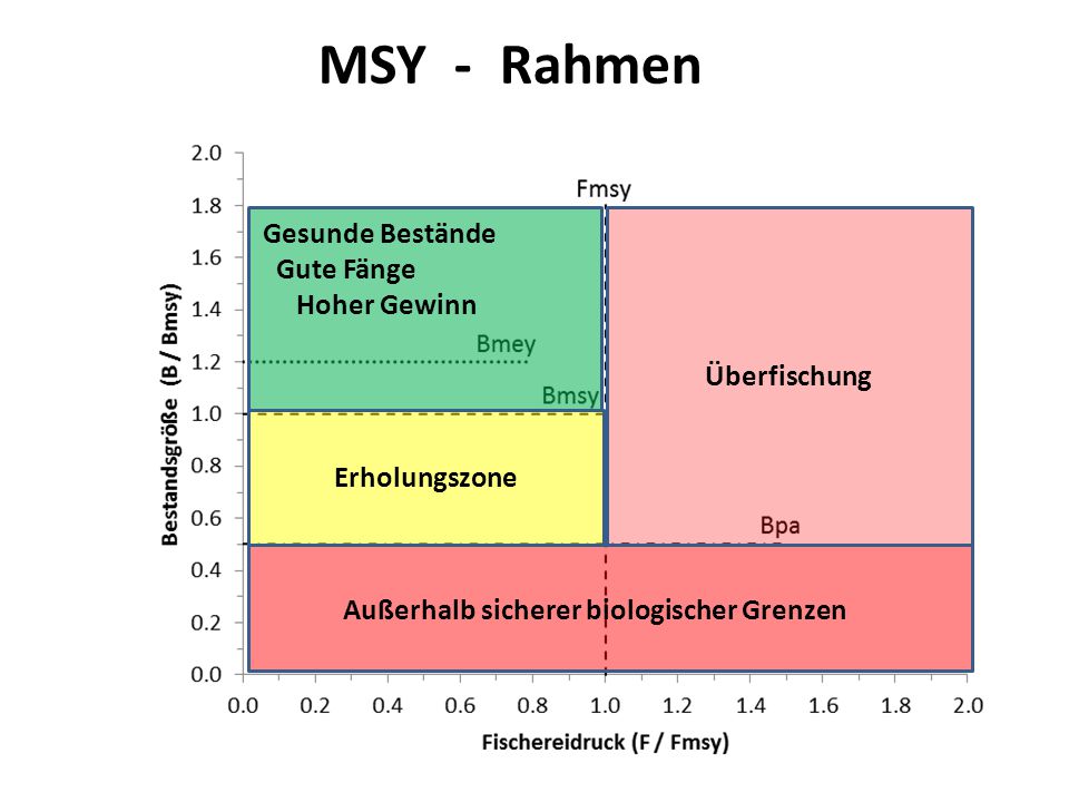 MSY Framework MSY - Rahmen Gesunde Bestände Gute Fänge Hoher Gewinn