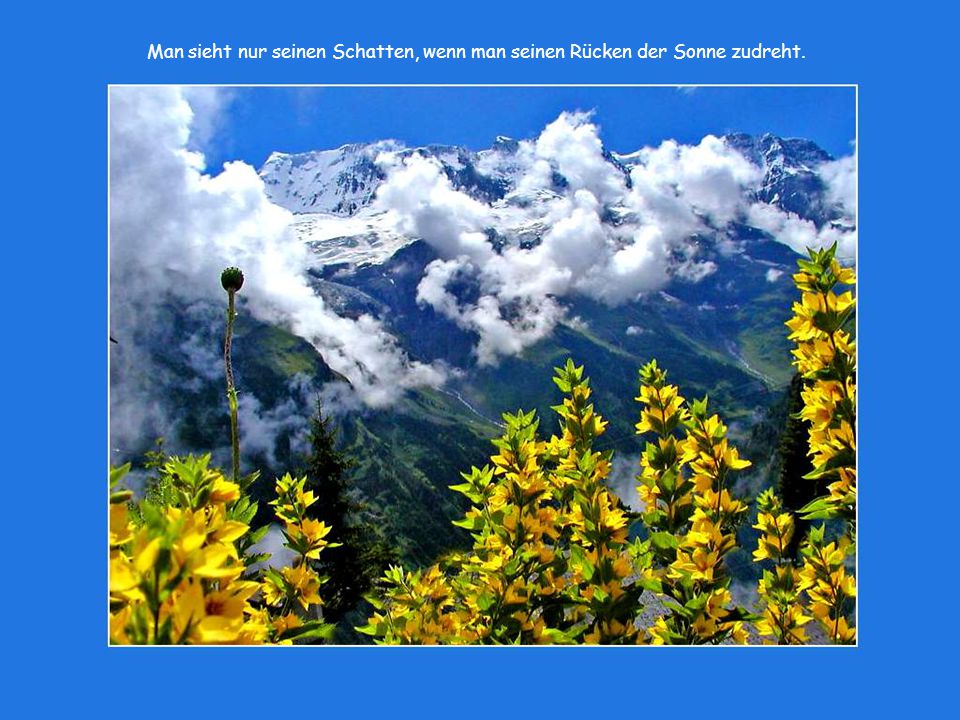 Man sieht nur seinen Schatten, wenn man seinen Rücken der Sonne zudreht.