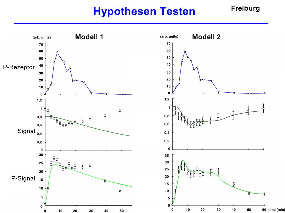 Hypothesen Testen Freiburg Modell 1 Modell 2 P-Rezeptor Signal