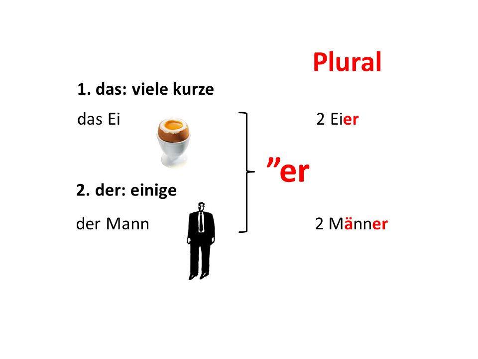 er 1. das: viele kurze Plural das Ei 2 Eier 2. der: einige der Mann
