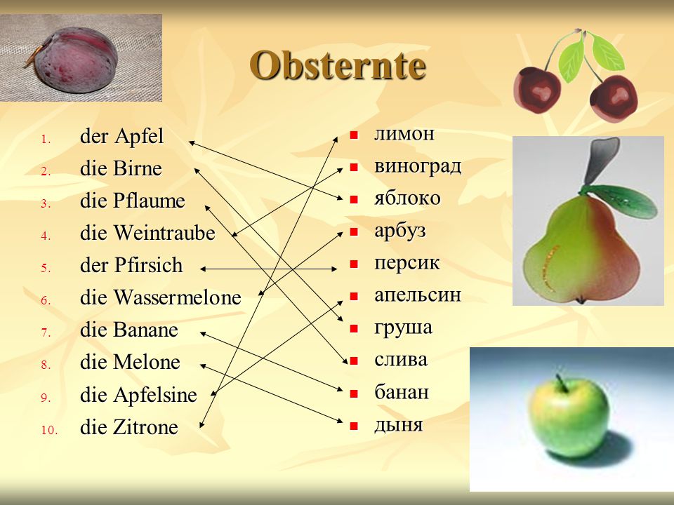 Obsternte лимон der Apfel виноград die Birne яблоко die Pflaume арбуз