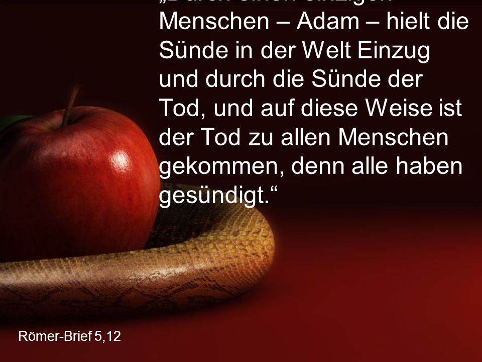 „Durch einen einzigen Menschen – Adam – hielt die Sünde in der Welt Einzug und durch die Sünde der Tod, und auf diese Weise ist der Tod zu allen Menschen gekommen, denn alle haben gesündigt.
