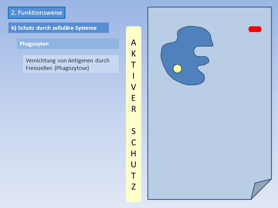 AKT I VER SCHUTZ 2. Funktionsweise b) Schutz durch zelluläre Systeme
