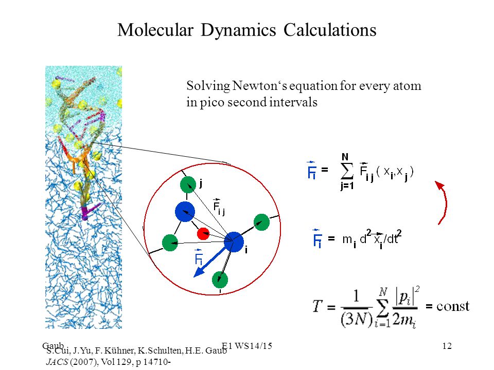 Molecular Dynamics Calculations