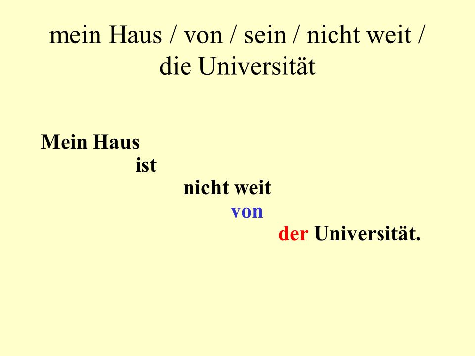 mein Haus / von / sein / nicht weit / die Universität