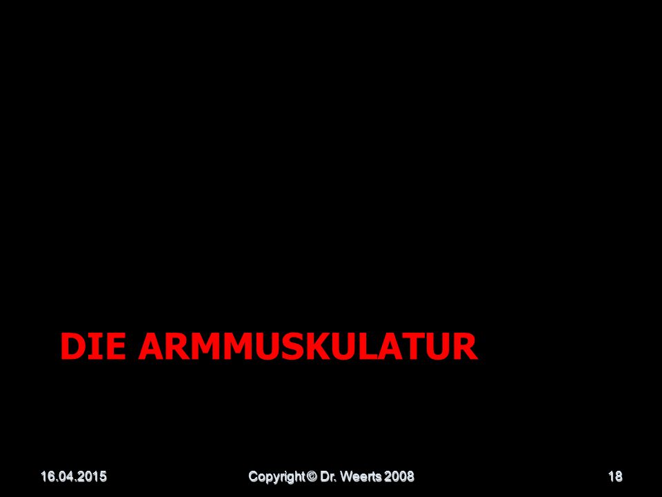 Die Armmuskulatur Copyright © Dr. Weerts 2008