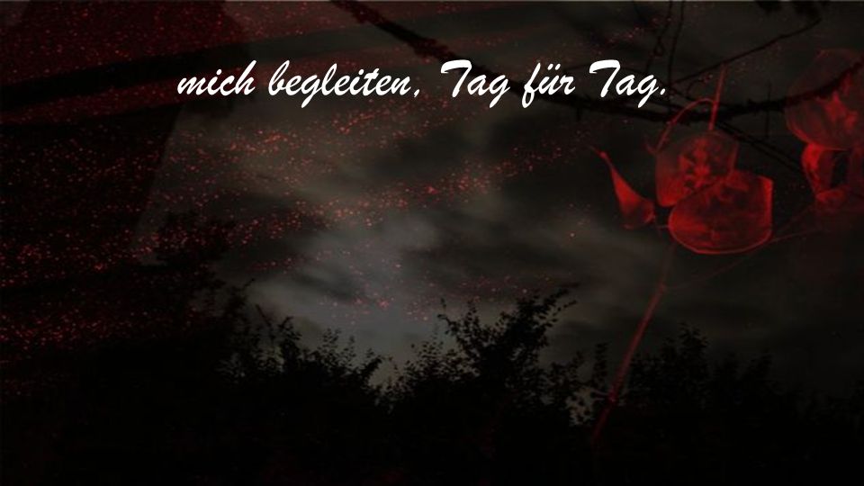mich begleiten, Tag für Tag.