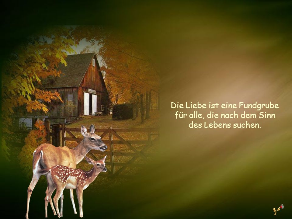 Die Liebe ist eine Fundgrube für alle, die nach dem Sinn