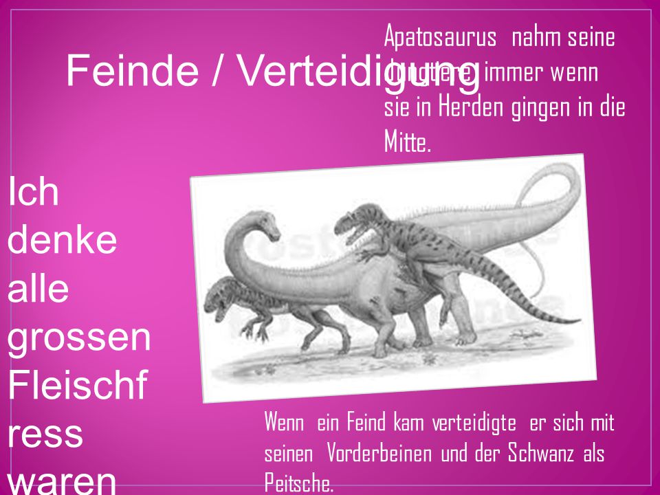 Apatosaurus nahm seine Jungtiere immer wenn sie in Herden gingen in die Mitte.