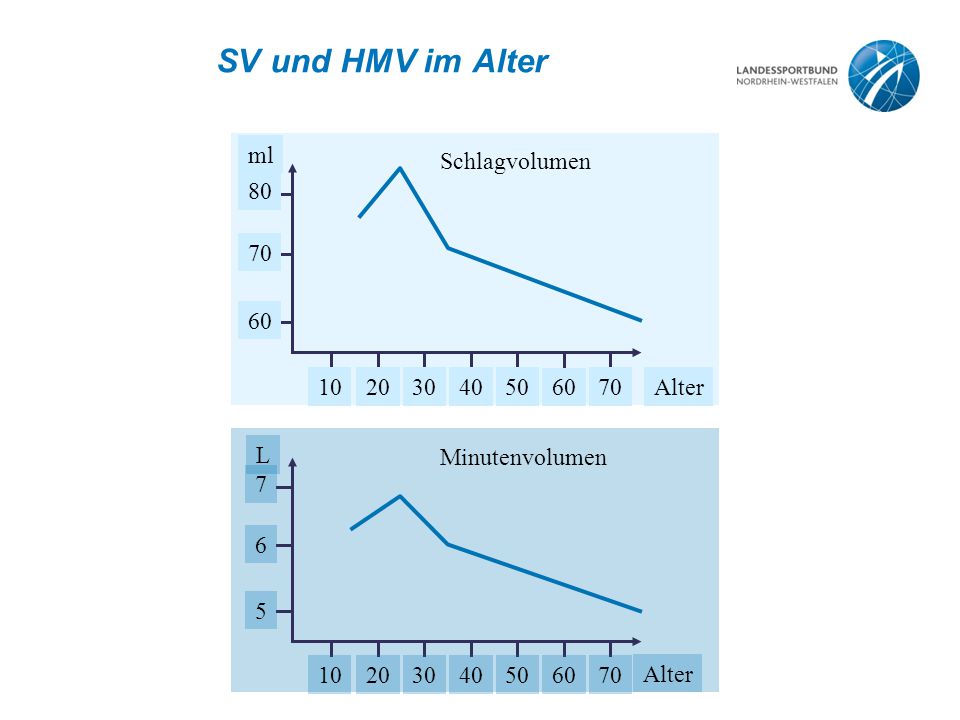 SV und HMV im Alter ml Alter Schlagvolumen L