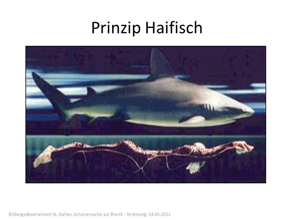 Prinzip Haifisch Bildungsdepartement St. Gallen, Schulversuche zur Bionik - Strömung;