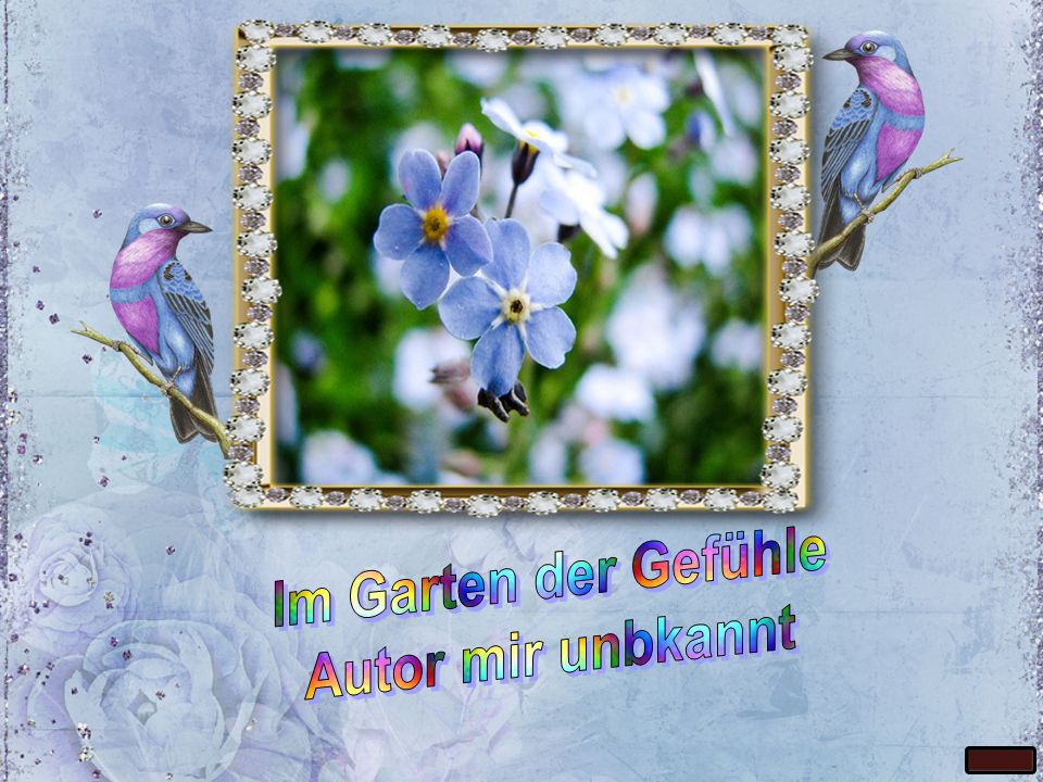 Im Garten der Gefühle Autor mir unbkannt. ppt herunterladen