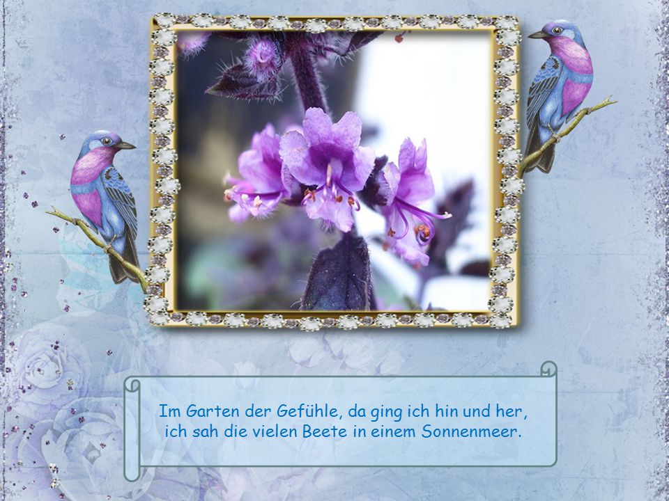 Im Garten der Gefühle Autor mir unbkannt. ppt herunterladen