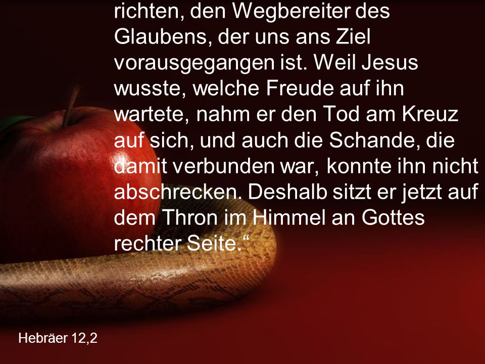 „Wir wollen unseren Blick auf Jesus richten, den Wegbereiter des Glaubens, der uns ans Ziel vorausgegangen ist. Weil Jesus wusste, welche Freude auf ihn wartete, nahm er den Tod am Kreuz auf sich, und auch die Schande, die damit verbunden war, konnte ihn nicht abschrecken. Deshalb sitzt er jetzt auf dem Thron im Himmel an Gottes rechter Seite.