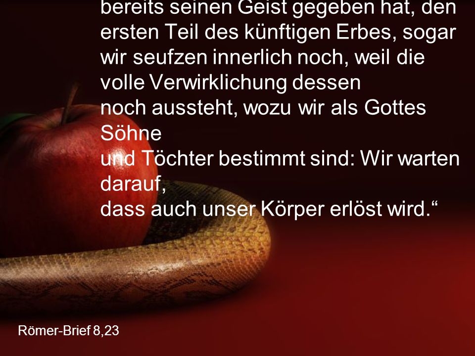 „Sogar wir (Christen), denen Gott doch bereits seinen Geist gegeben hat, den ersten Teil des künftigen Erbes, sogar wir seufzen innerlich noch, weil die volle Verwirklichung dessen noch aussteht, wozu wir als Gottes Söhne und Töchter bestimmt sind: Wir warten darauf, dass auch unser Körper erlöst wird.