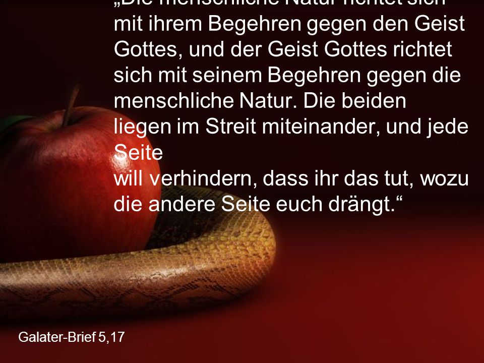 „Die menschliche Natur richtet sich mit ihrem Begehren gegen den Geist Gottes, und der Geist Gottes richtet sich mit seinem Begehren gegen die menschliche Natur. Die beiden liegen im Streit miteinander, und jede Seite will verhindern, dass ihr das tut, wozu die andere Seite euch drängt.