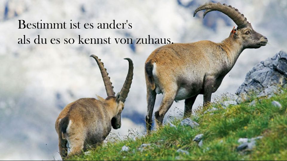 Bestimmt ist es ander s als du es so kennst von zuhaus.