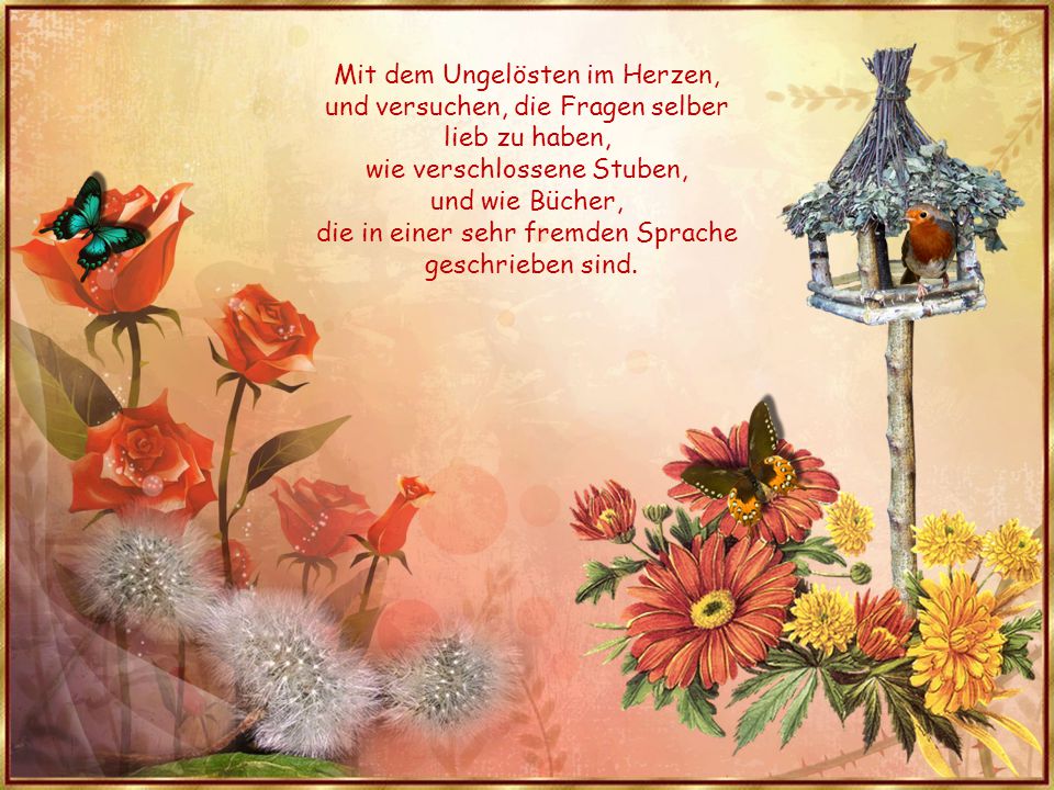 Mit dem Ungelösten im Herzen, und versuchen, die Fragen selber