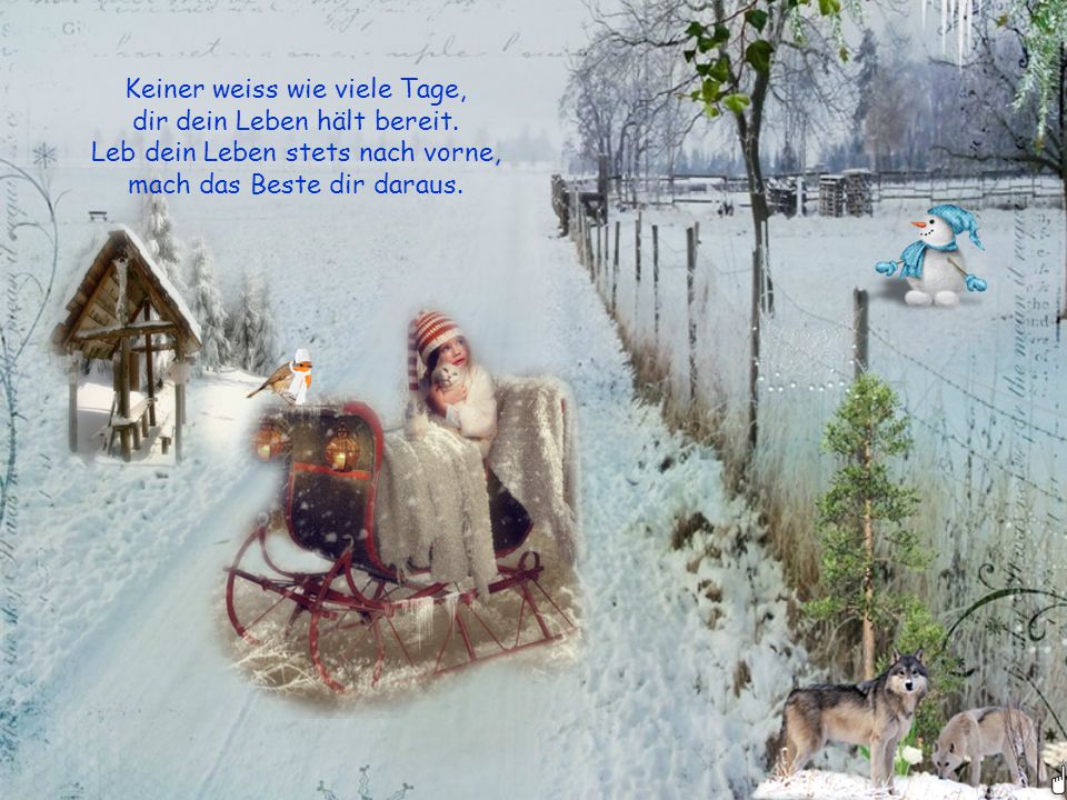 Keiner weiss wie viele Tage, dir dein Leben hält bereit.