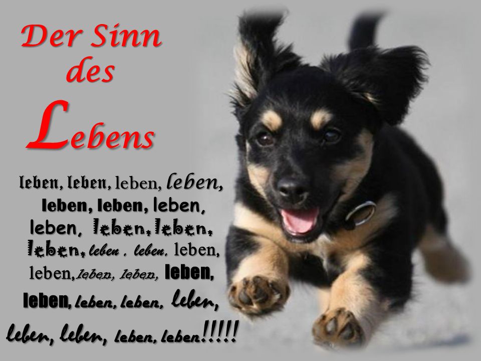 leben, leben, leben, leben, leben, leben, leben, leben, leben, leben,